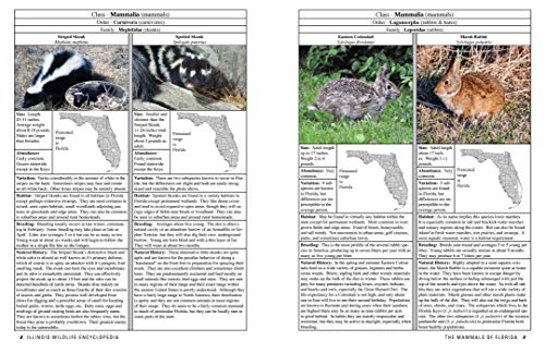 Skyhorse 9781510728868 Florida Wildlife Encyclopedia: An Illustrated Guide To Birds thumb #7