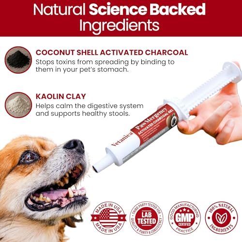 PawMergency – Activated Charcoal First Aid Kit Emergency Rescue for Dogs, Cats, Puppy & Pet Poisoning Kit, Camping Survival Remedy Essential, Oral Anti Diarrhea Digestive Paste Ready to Absorb Toxins #5