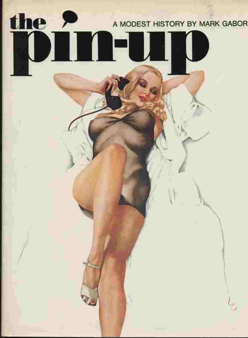 Pin Up: A Modest History Hardcover – August 19, 1987