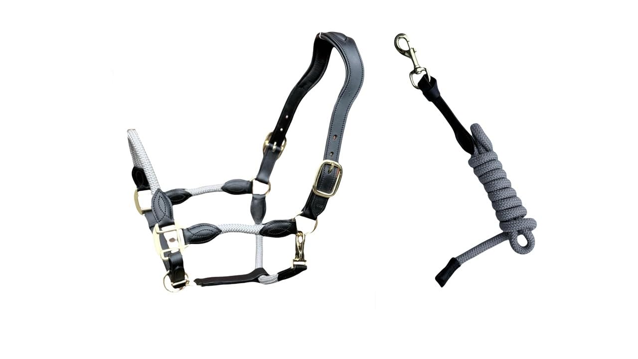 Premium Leather Horse Headcollar, Anatomical Design, Padded, Gold Fittings, with Matching Lead Rope (Grey/Black, Cob)