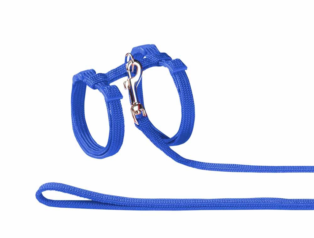 Nobby Gatto Set Nylon, Blu