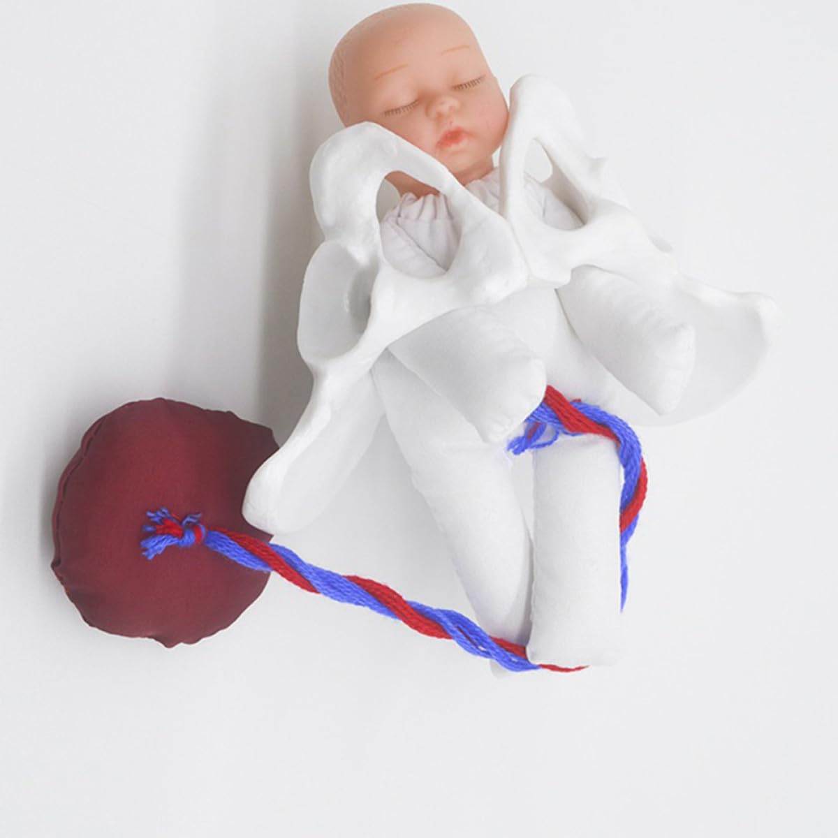 Operitacx Modèle Outil Polyvalent Cordon Ombilical et Placenta de Simulation D'accouchement en Pvc Fœtus Détaillé pour Formation Prénatale et Éducation Médicale