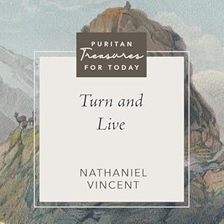 Turn and Live Audiolibro Por Nathaniel Vincent, Jonathan D. Beeke - editor arte de portada