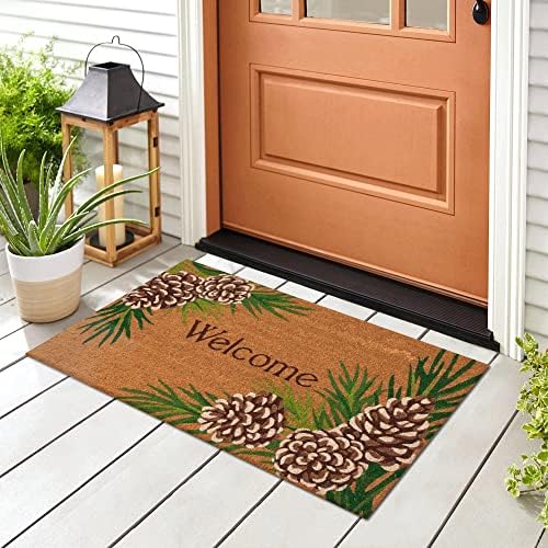 Liora Manne Natura Outdoor Machine Made Coir Outdoor Mat - Traditional Border Botanical Floral Camping (Pinecone Border Natural) (2' x 3')