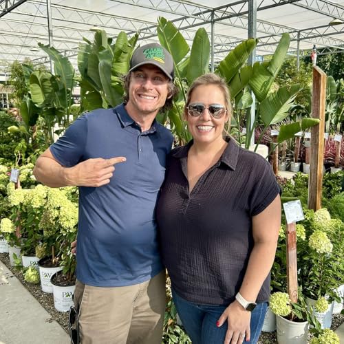 Farm to Fork at Terra Madre Americas Podcast Por  arte de portada