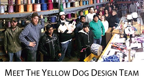 Image of Yellow Dog Design Neopolitan Dog Collar with Tag-A-Long ID Tag System-Large-1 inch Wide and fits Neck 18 to 28 inch
