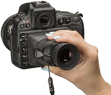 difference between viewfinder and lcd screen price