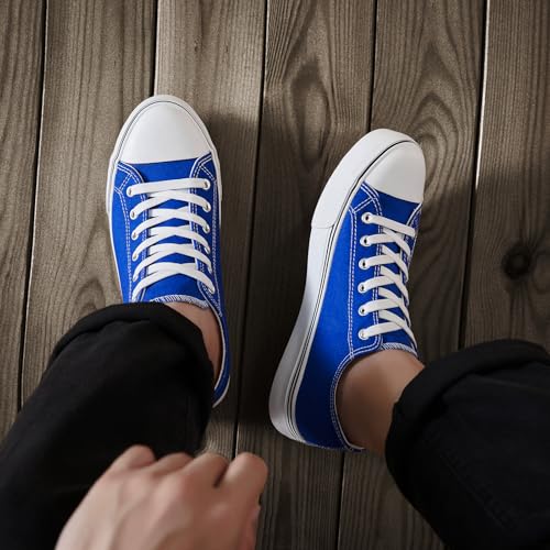 Image of ZGR Mens Classic Casual Shoes,Lace-up Fashion Sneakers,Low Top Canvas Sneakers for Men