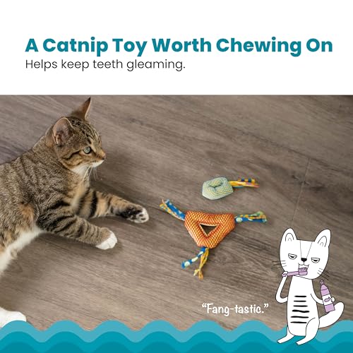 Petstages Catnip Dental Health Chews - Zahnpflege-Kauspielzeug für Katzen - Katzenminze - Mehrfarbig - 2 Stück