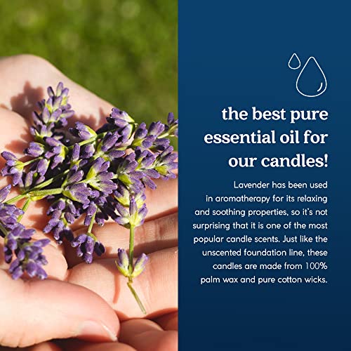 Goodlight 0680443012725 Paraffin-Free Scented Tea Lights Candles, Clean-Burning And All-Natural Tea Light Candles, 4-Hour Burn Time thumb #4