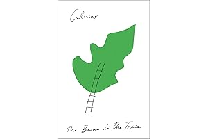 If on a winter's night a traveler by Italo Calvino: A Masterpiece of Metafiction