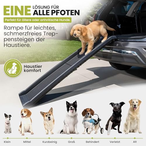 all Pets United® Hunderampe klappbar Hundetreppe Hunde- & Katzentreppe Rampe Einstiegshilfe für Kofferraum Haustiertreppe für Große & Kleine Tiere (Hunderampe)