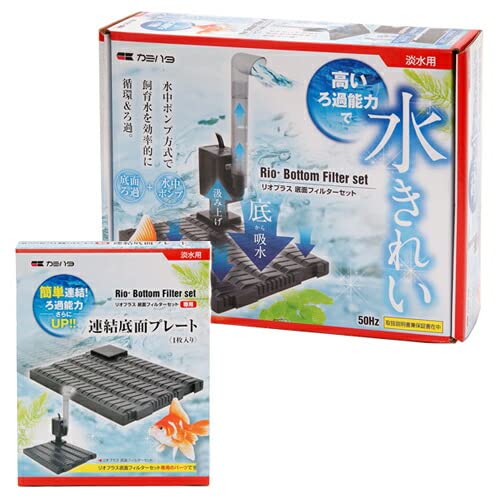 J~n^ TOg IvX STp ʃtB^[Zbg {p