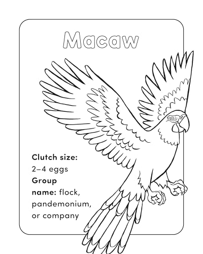 Bird Book for Kids: Coloring Fun and Awesome Facts (A Did You Know? Coloring Book) - Image 5