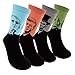Famous Painting Art Printed Mens Dress Socks - HSELL Crazy Patterned Fun Crew Cotton Socks 6 Pack (Presidents 4 Pack)