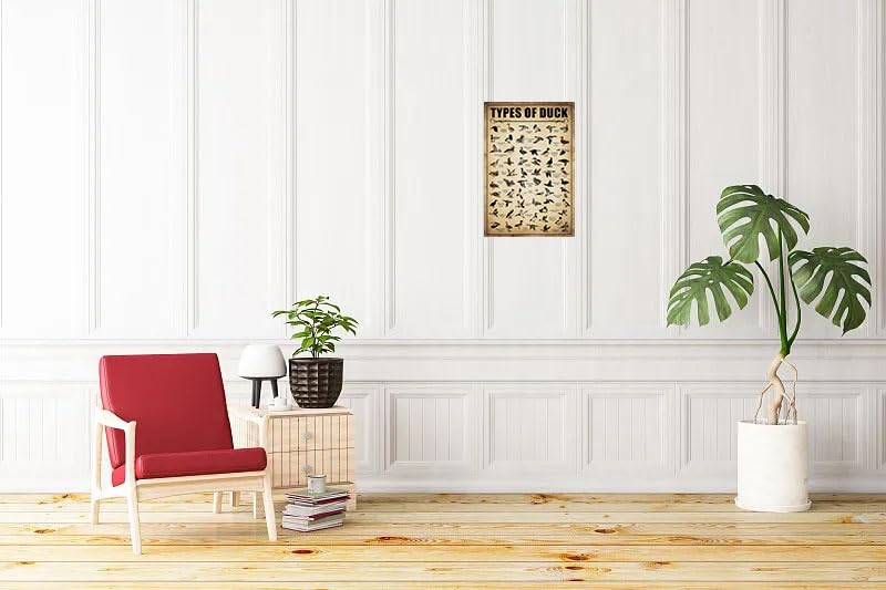 Duck Knowledge Hunting Decor Poster In Metallo - Tipi Di Anatre Razze