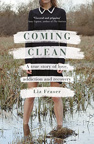Coming Clean view 2