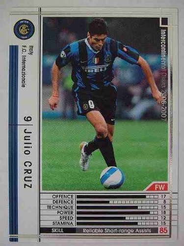 Amazon.co.jp: WCCF 06-07白黒カード 318 フリオ・クルス : Sports