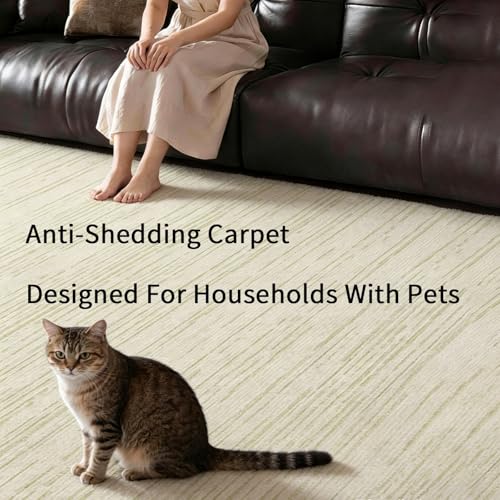 Tapis salon rectangulaire lavable machine et adapté aux animaux
