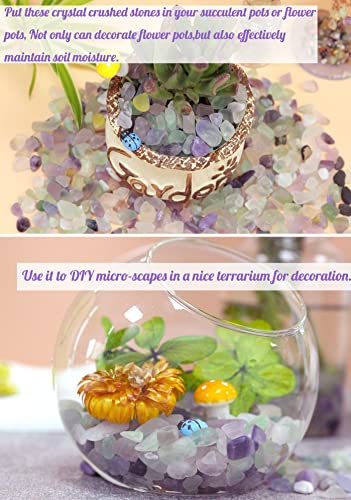 Fluorite Aquarium Gravel Rocks Natural Tumbled Healing Crystal Chips Bulk Gemstones Tumbled Crushed Stones for Fountain Vase Filler Planters Decorative Fish Tank Potted Reiki Energy Balancing 0.44lb - Image 5