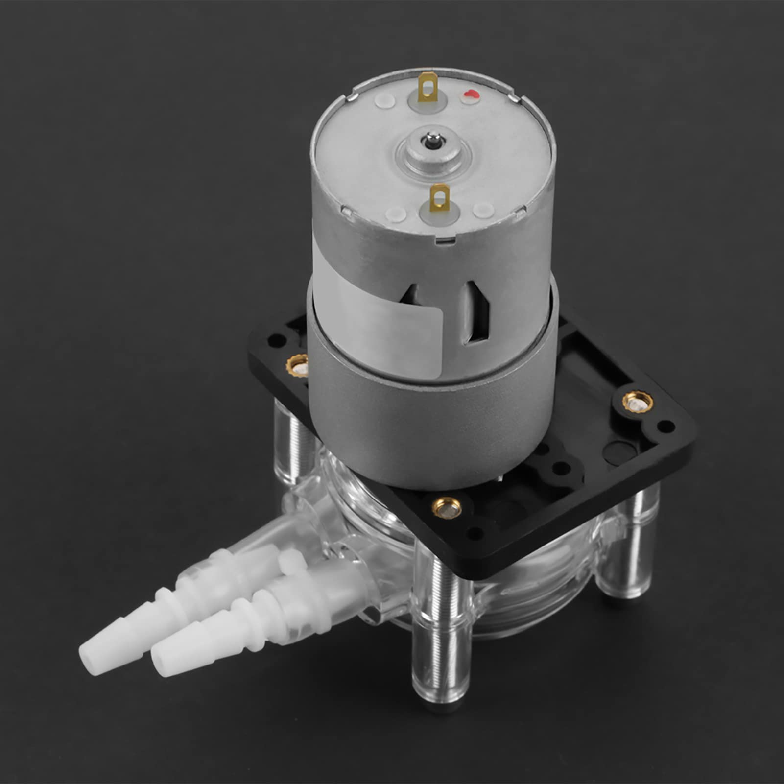 Eujgoov Schlauchpumpe 12V DC 0-400ml/min 6,4mm Silikonschlauch