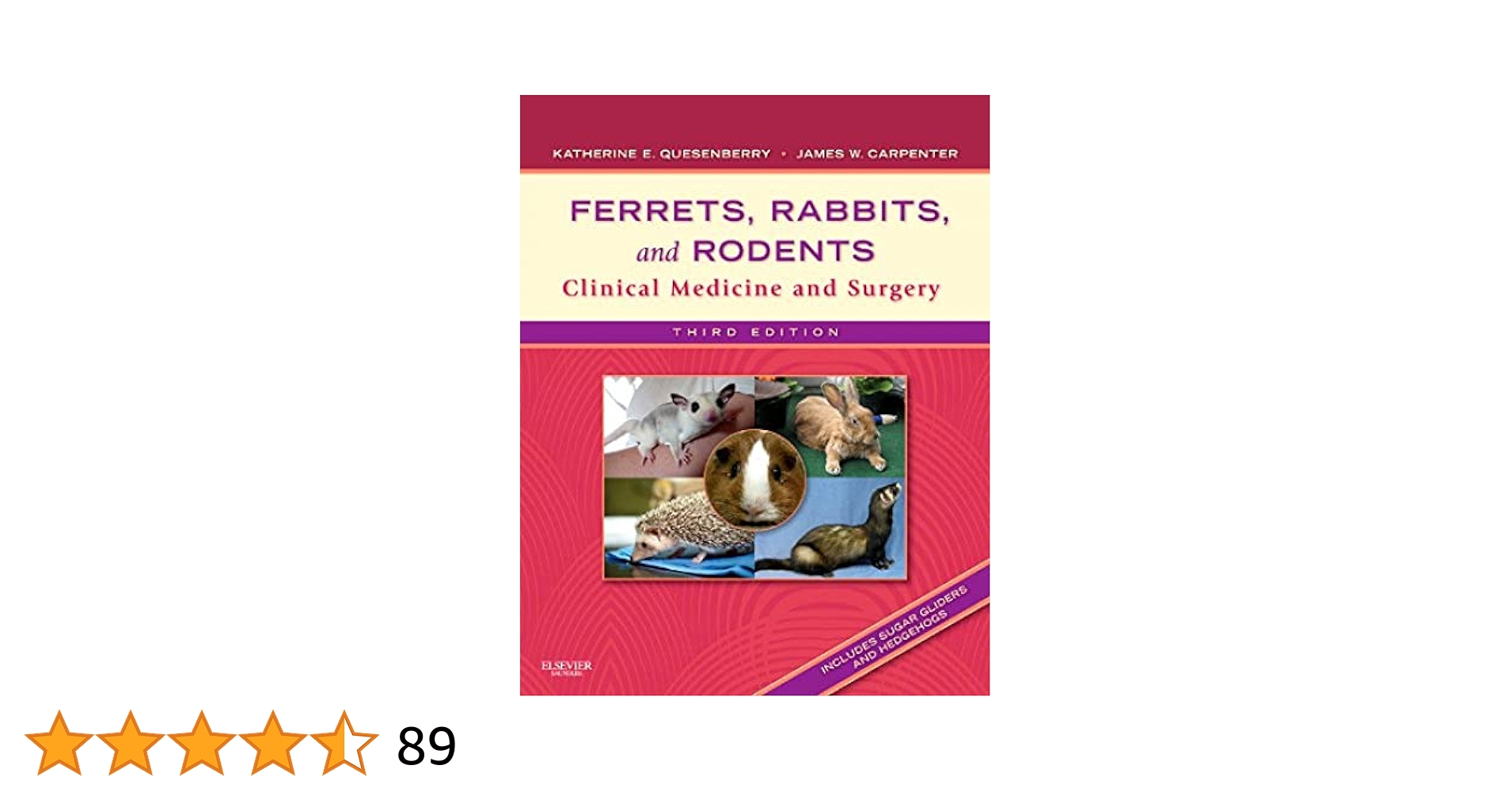 Ferrets, Rabbits, and Rodents 獣医 エキゾチック Ferrets