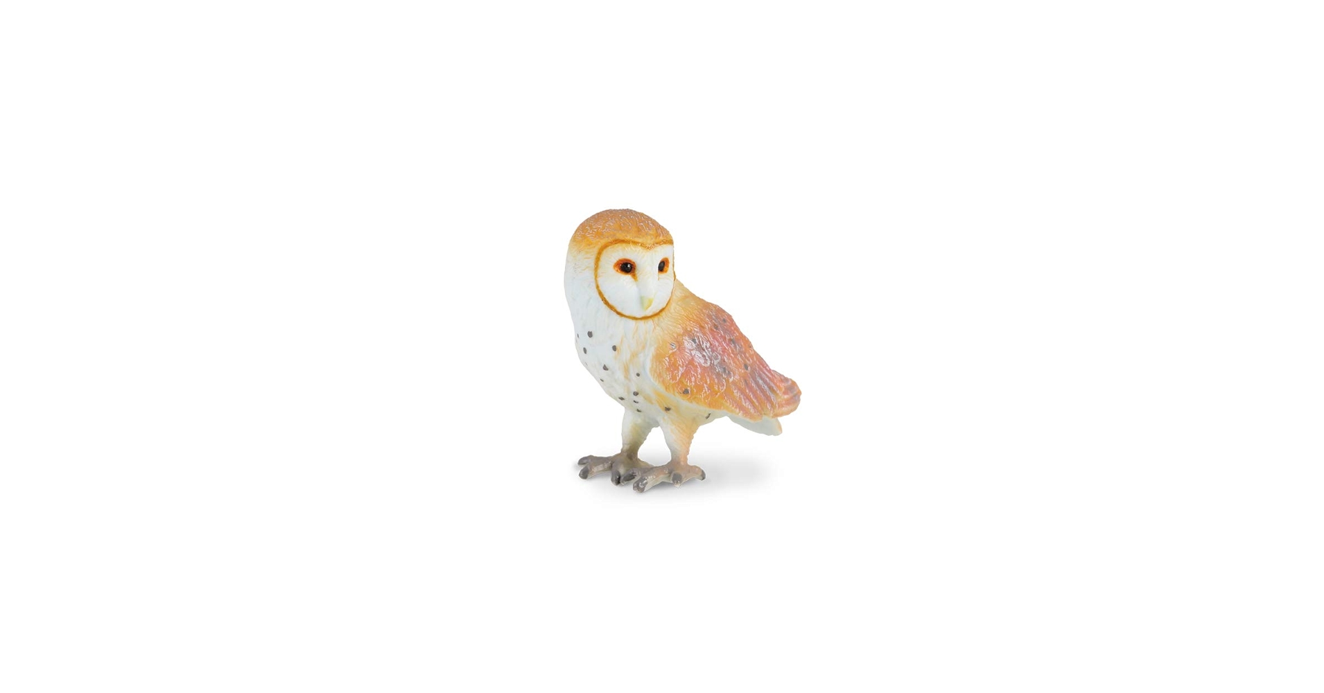 置物 59. The magnificent barn owl hand-painte The Magnificent Barn Owl by George McMonigle ~ Limited
