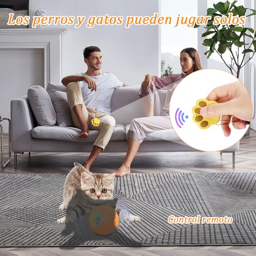 Montables, Toy Imagen adicional