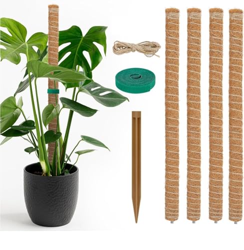 Lot de 4 tuteurs en mousse de 40 cm Monstera avec 1 rouleau de serre-câbles et 2 m de ficelle de jute pour le nom des plantes, la plantation, la maison, le jardin