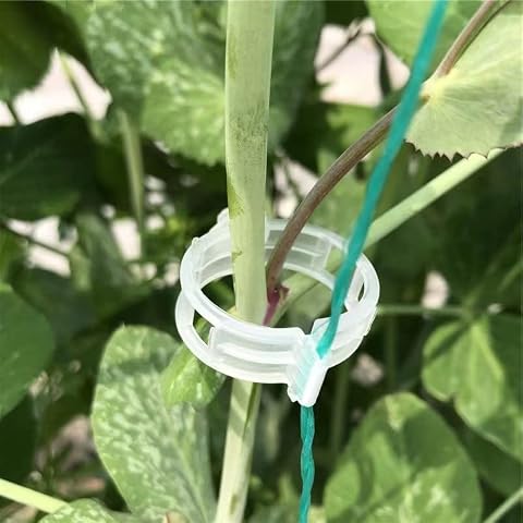 Piteno® 300Pcs Tomato Clips, Plastic Trellis Clips, Plant...