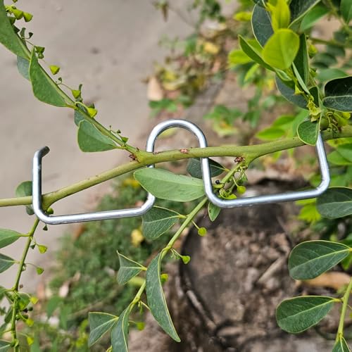 Dispersores para Ramas de Árbol para Frutas 20 Piezas miniatura 5