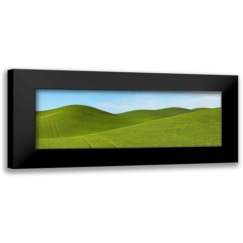 ArtDirect - McLoughlin, James 18x9 Black Modern Framed Art Print Titled: Farmscape Panorama VII