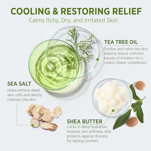 Roycederm Antifungal Body Wash & Soap, Antibacterial, Tinea Versicolor, Tea Tree Body Wash, Back Acne, Folliculitis, For Jock Itch, Athletes Foot, Body Odor, Ringworm