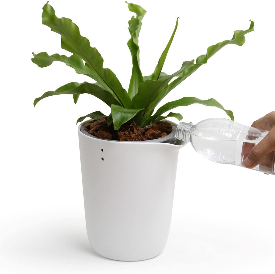 QUALY Self-Watering Flower Pot, White, 10x13 cm