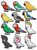 12PCS Parrot Shoe Charms for Croc Bubble Slides Clogs Sandals, Animals Shoe Accessories Decorations for Girls Women Teens Adults
