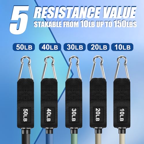 Image of WHATAFIT Resistance Bands, Exercise Bands, Workout Bands with Handles, Door Anchor and Ankle Straps, 5 Resistance Levels Fitness Bands for Strength Training, Physical Therapy, and Home Gym Equipment