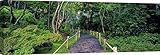 Art Print Cafe – Cuadro, fotografía – Impresion sobre Lienzo - Richard Berenholtz, Tea Garden Walkway, San Francisco Botanical Gardens – 120x40 cm