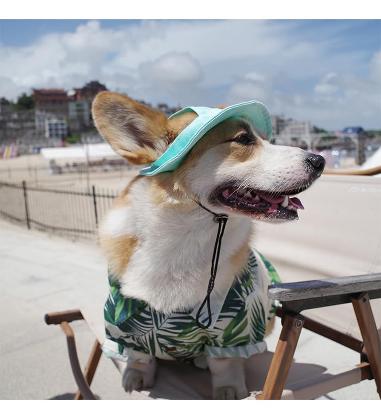 Image of HDKUW Dog Bucket Hats, Dog Round Cap with Ear Hole, Adjustable Outdoor Travel Sun Protection Sport Hat for Cat Small Medium Dogs Green M