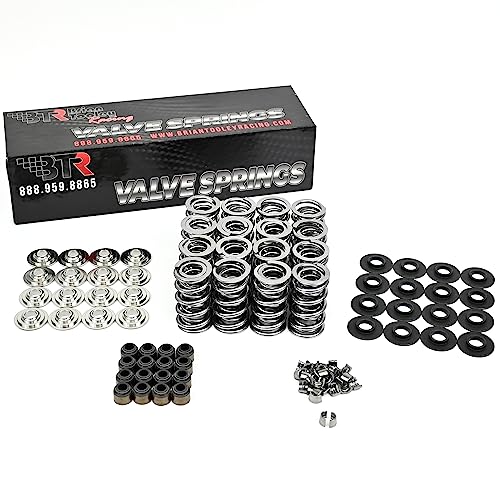 Brian Tooley Racing Btr Ls Dual Valve Spring Kit With Titanium Retainers .660" Lift Fits -Ls1 Ls2 Ls3 Ls4 Ls6 L76 L92 L99 Lq4 Lq9 L33 Lsa #TOP4