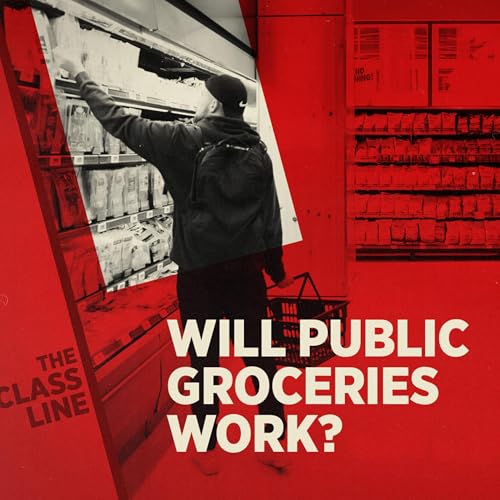 11. Will public grocery stores work?