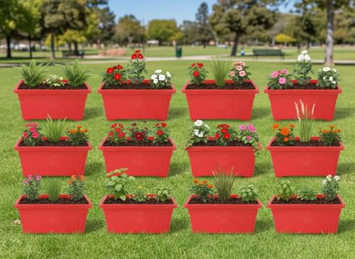 Image of Bianco Rectangular Plastic Pots for Plants, Jupiter Flower Pots for Home, Window Display, Garden (35 x 18.5 x 15 cm) (RED) (Pack of 12)