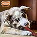 Nylabone Power Chew Classic Bone Chew Toy for Dogs, Durable Dog Toys for Aggressive Chewers, Flavor Frenzy Beef Jerky & Chicken, Large/Giant - Up to 50 lbs. (2 Count)