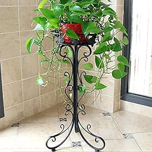 XH&XH Supporto per Fiori Supporto per Piante grasse Semplice in Ferro battuto per Interni Giardino Rack Balcone Giardinaggio Rack Scaffale per Piante da Esterno Supporto per Fiori Rimovibile Angol