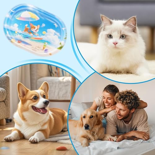 Tapis d'eau pour chat et coussin de couchage gonflable