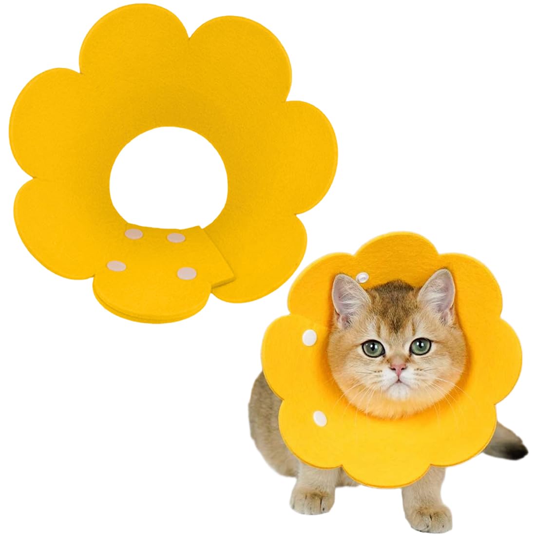 Crazy Bean Collerettes Pour Chats Chiens Collier De Protection Confort Ajustable Collerette De Postopératoire Récupération Anti-Morsure Protection (Fraises, S