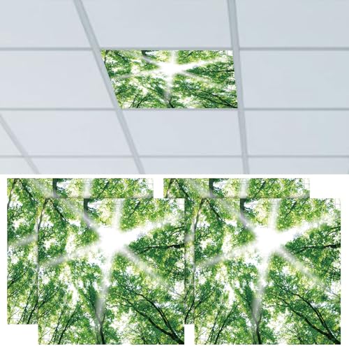 CNSJ 4 cubiertas de luz