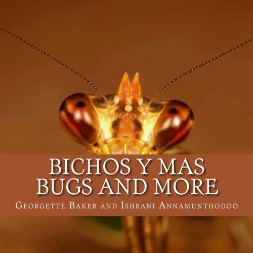 Bichos y Mas: Bugs and More