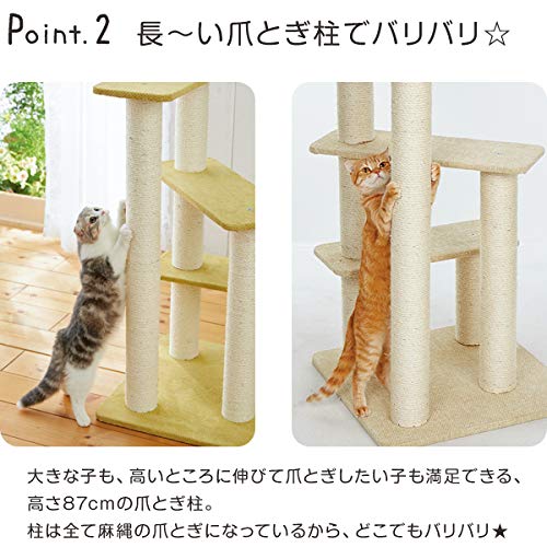Amazon | ニューペントハウス2 ベージュ | PEPPY(ペピイ