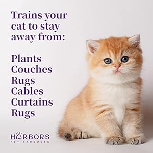 Harbors Cat Repellent  Scented | Cat Repellent Spray Indoor  4 Oz | Cat Training Spray | Cat Repellent for Furniture | Cat Repellent for Plant eucalyptus  Cucciolini Doodles Harbors cat repellent  scented | cat repellent spray indoor  4 oz | cat training spray | cat repellent for furniture | cat repellent for plant eucalyptus   cucciolini doodles