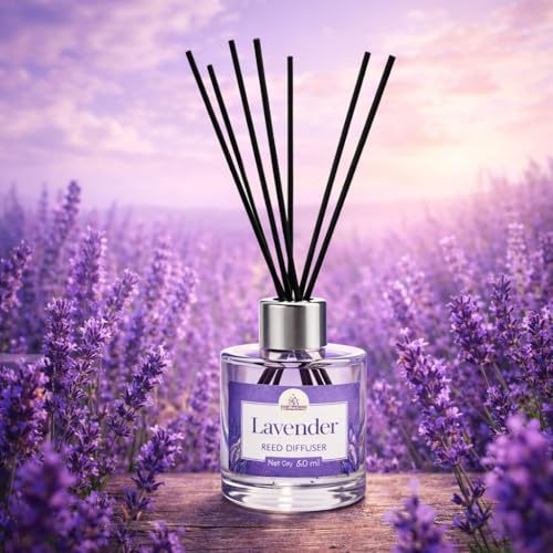 PRAMODAM Lavender Reed Diffuser Set 60 ml | 6 Fiber Reed Sticks 8" | Stress Relief & Aromatherapy | Long-Lasting, Smoke-Free Air Freshener for Home, Bedroom & Office | Ideal for Gifting 2 519iHmfynTL